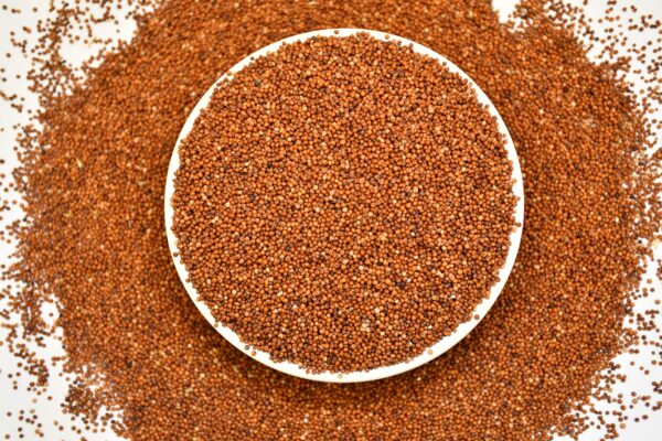 Unpolished Ragi| Finger millet| Whole grain 1 Kg - Image 2