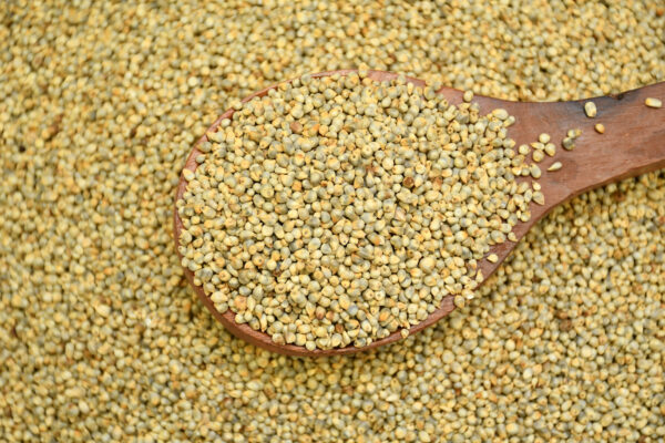 Unpolished Bajra/ Pearl millet - Whole grain 1Kg - Image 5