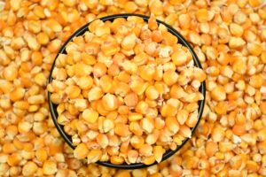 Popcorn Kernels - 1Kg