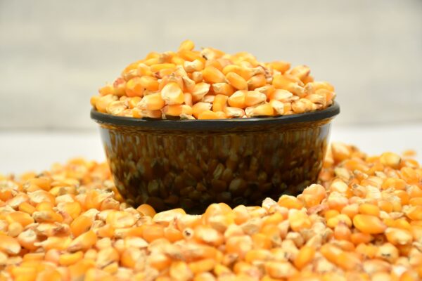 Popcorn Kernels - 1Kg - Image 2
